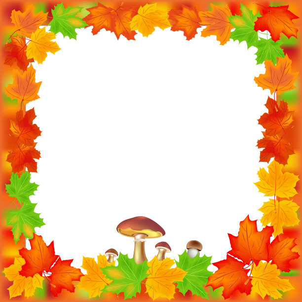 可食用的蘑菇和南瓜装饰框架秋叶。黄色和红色的叶子，蘑菇，葫芦在白色的背景。向量。素材图片