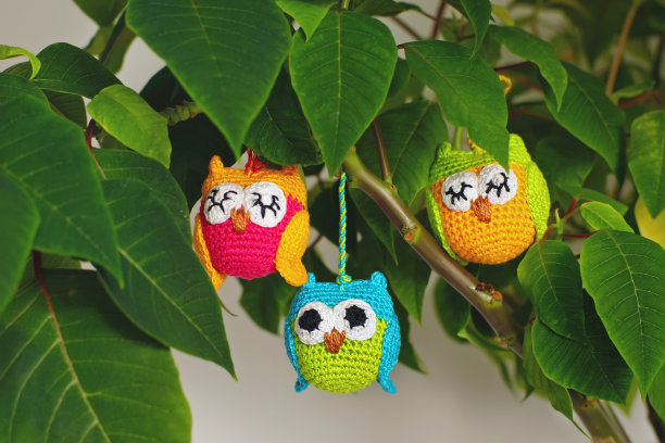 三只彩色手工编织的猫头鹰挂在室内一品红的枝条上图片下载