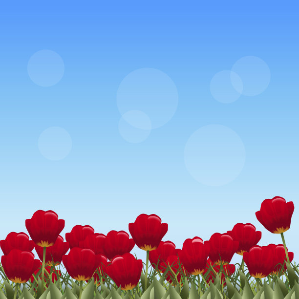 草坪上盛开着红色的郁金香图片下载