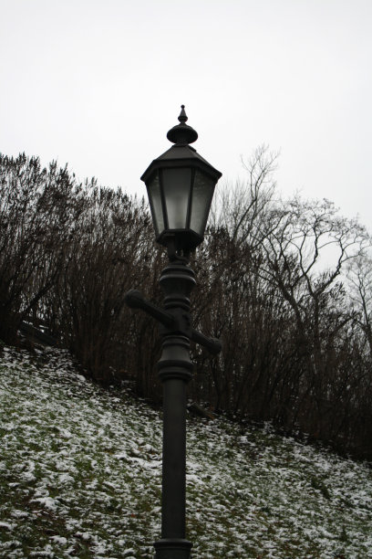 公园的路灯图片下载