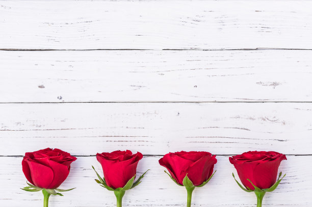 情人节的红玫瑰素材图片