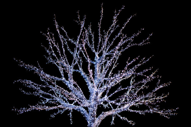 圣诞树装饰新年图片下载