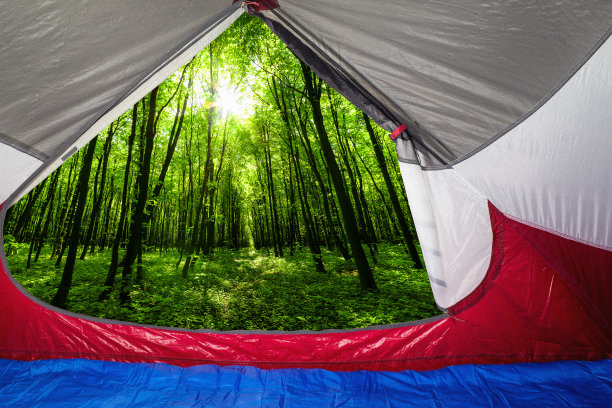 落叶林图片下载