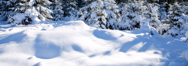 有雪的冬天背景图片下载