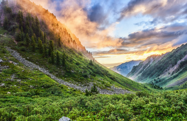 山坡上的晨雾图片下载