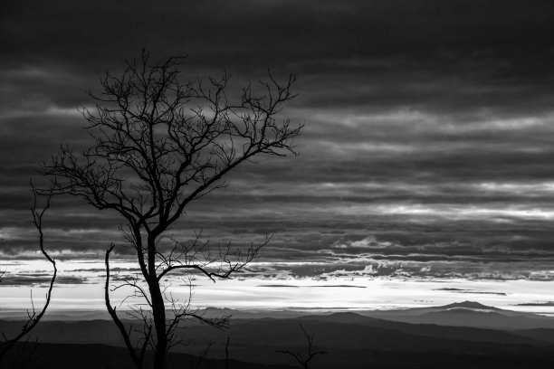美丽的日落，树的剪影在前景，山谷和山脉的背景，和明亮的云在天空图片下载