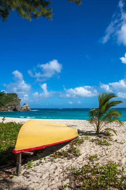 巴巴多斯东海岸美丽的海岸线和黄色的小船图片下载