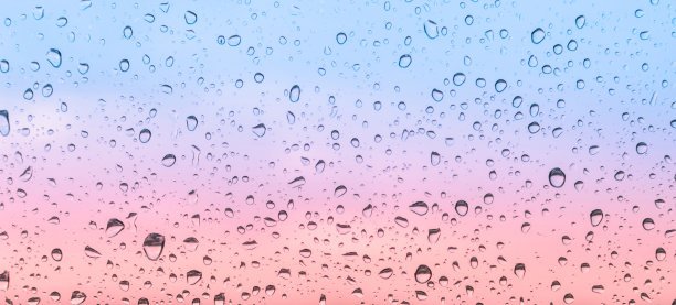 掉在窗户上图片下载