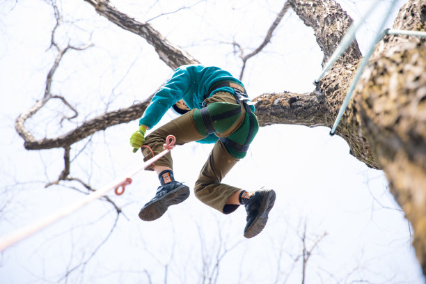 小孩子用绳子爬上树图片下载