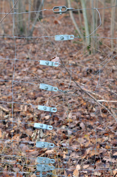 篱笆在森林图片下载