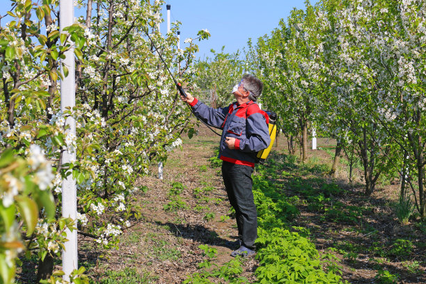 苹果园喷涂图片下载