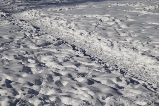 冬天雪地上的脚印图片下载