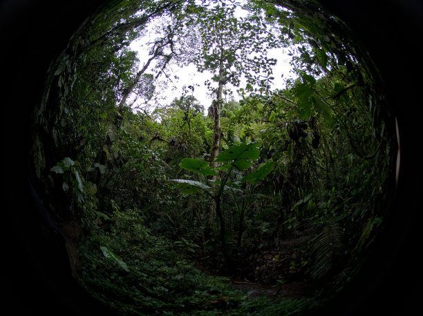 帕胡马保护区图片下载