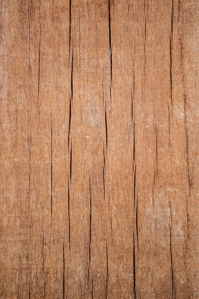 木头的恶作剧图片下载