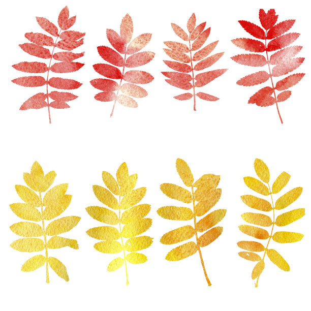 手绘插画素材ID：312712140