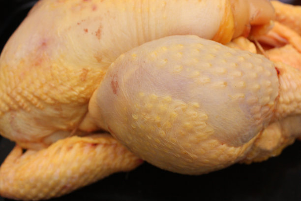 公鸡的农民图片下载