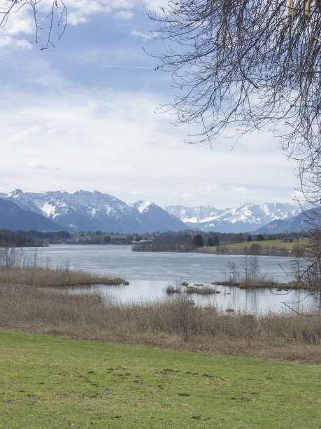 里格西，阿尔卑斯山麓的一个小沼泽湖图片下载