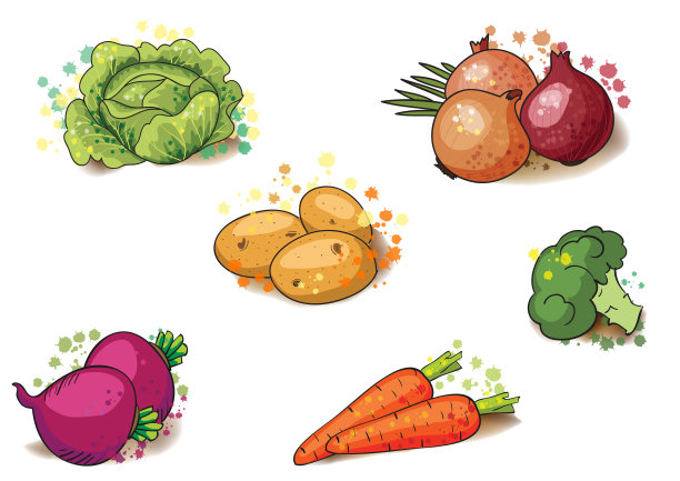 蔬菜为您的设计。图片下载