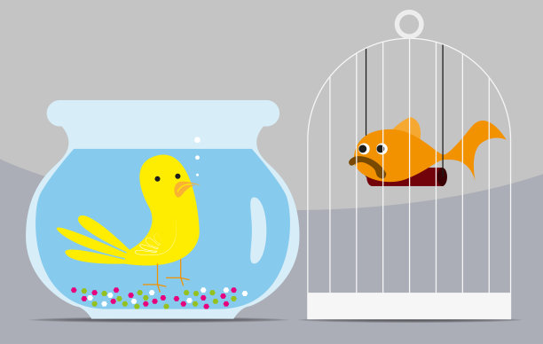 感觉好像来错地方了图片下载