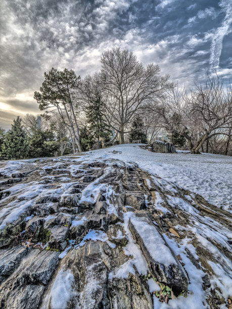 在湖边图片下载