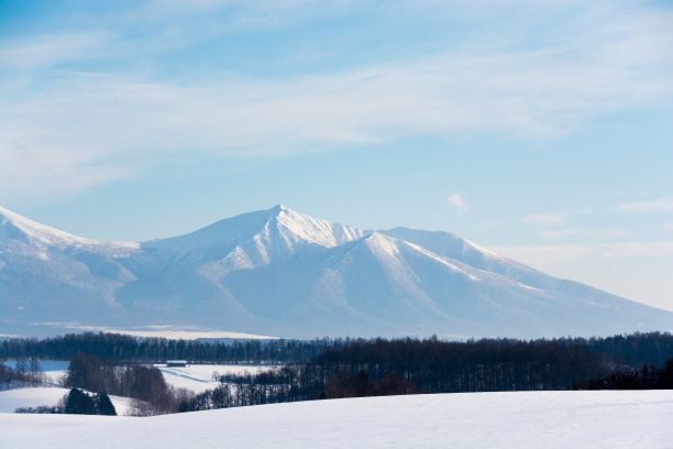 雪地图片素材ID：312720444