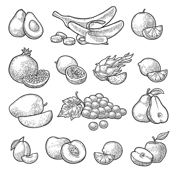 集水果。矢量彩色复古版画图片下载