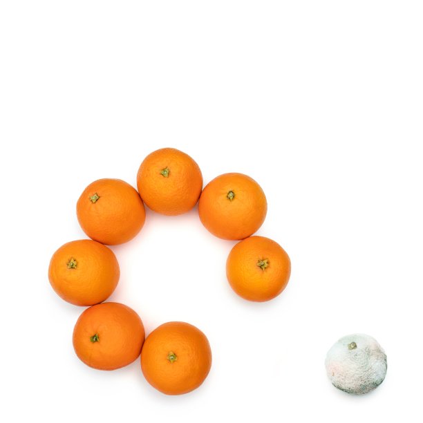 由好变坏图片下载