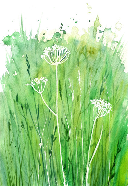 水彩绘画杂草图片下载