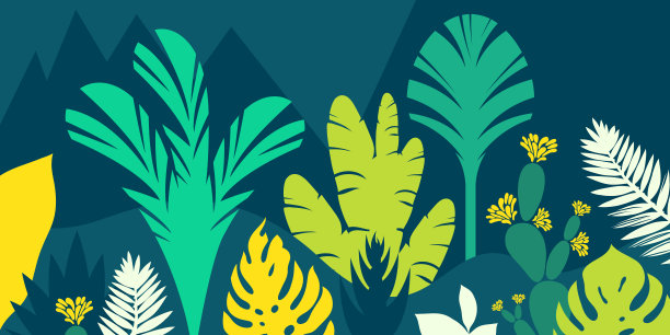 树木为热带阔叶蕨类。山的风景。平的风格。保护环境，保护森林。公园,户外。矢量插图。图片下载