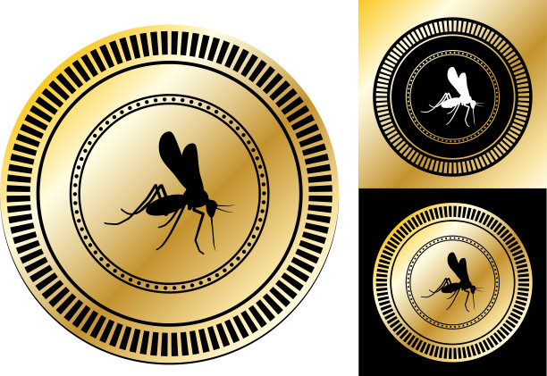 蚊子。图片下载