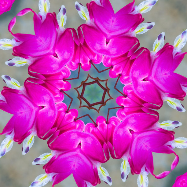 软心肠的曼荼罗图片下载