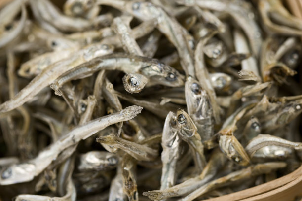 干凤尾鱼图片下载