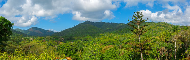 古巴的热带景观图片下载