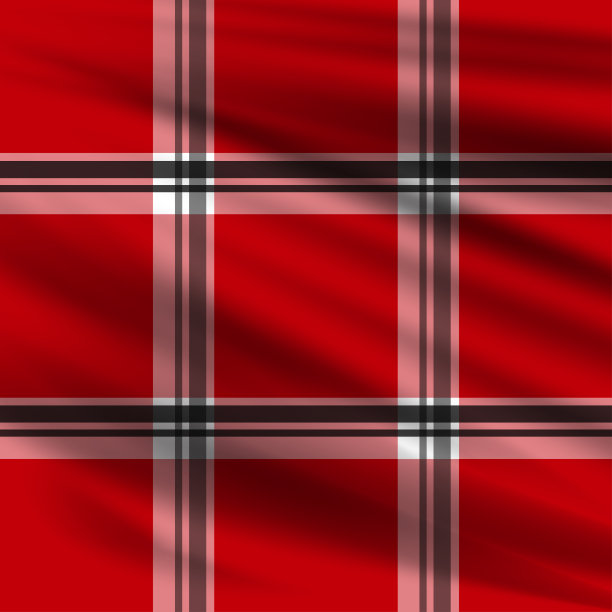 现实的伐木工人格子图案向量图片下载