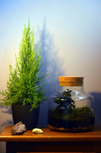 静物画图片下载