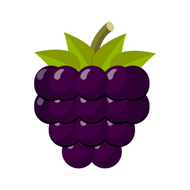 黑莓的平面设计图片下载