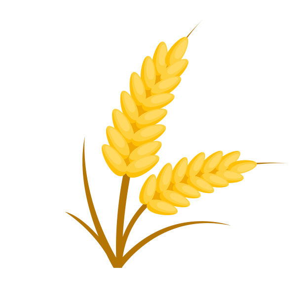 粮食平面设计图片下载