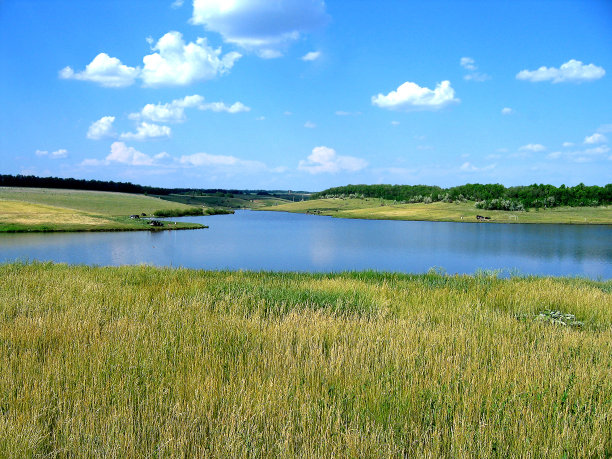 湖图片下载