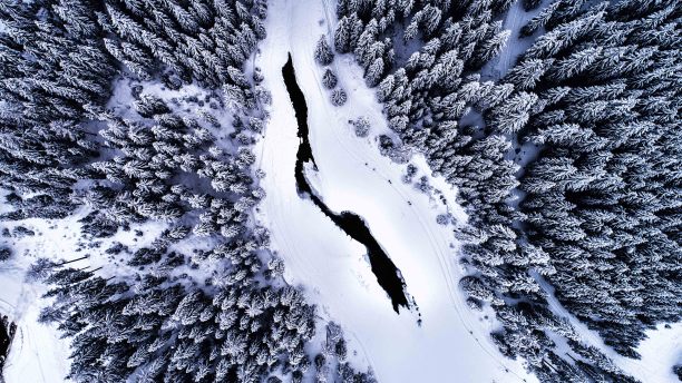 鸟瞰图-冰冻的湖和树-布雷，意大利图片下载