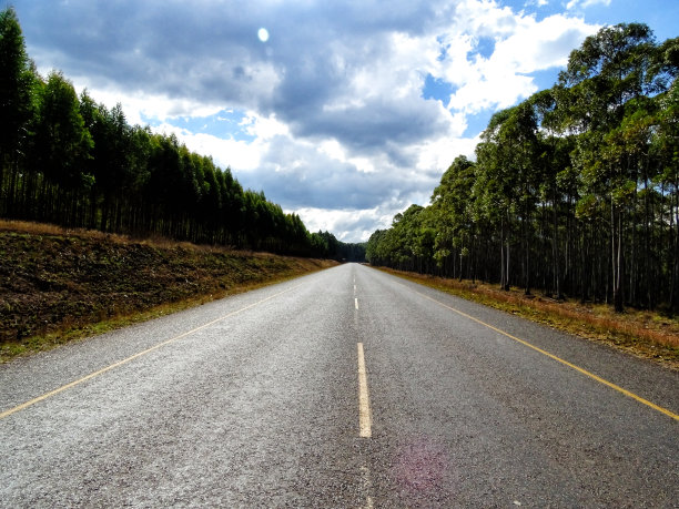 森林中的公路图片下载