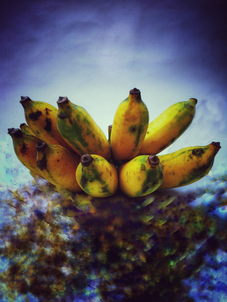 泰国种植香蕉图片下载