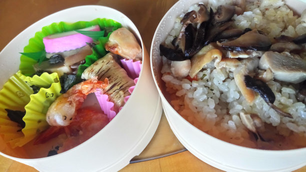 乌索诺米亚队！图片下载