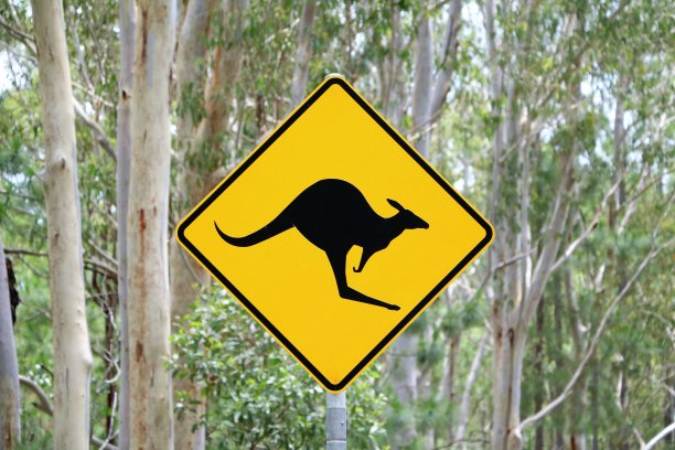 交通标志注意袋鼠，澳大利亚图片下载
