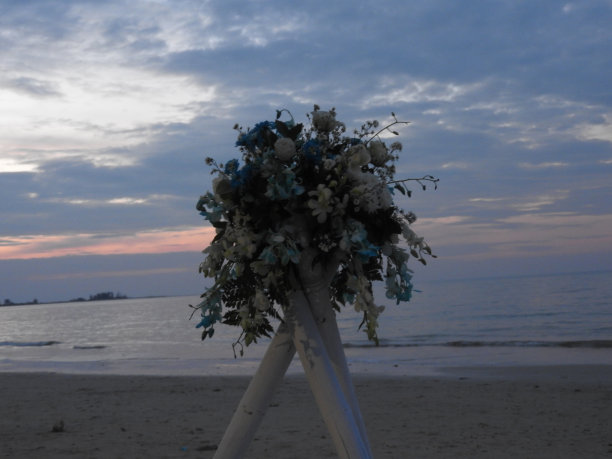 寇立海滩举行婚礼图片下载