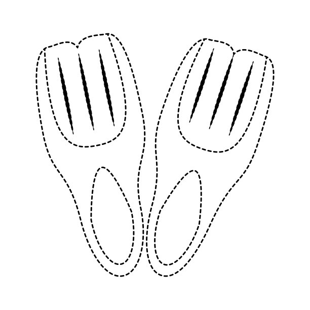 潜水脚蹼孤立图片下载