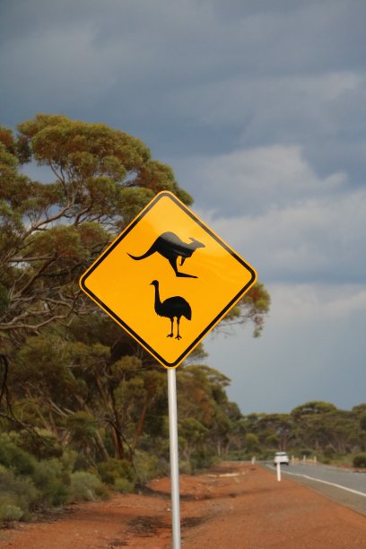 交通标志注意袋鼠和鸸鹋在澳大利亚图片下载