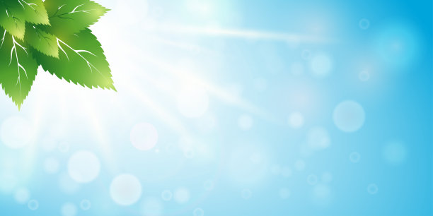 新鲜的绿叶背景。自然背景。春天。天空和温柔的树叶在阳光的照射下。图片下载