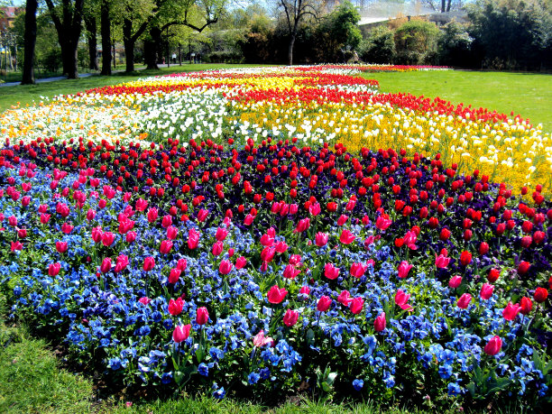 德国春天的郁金香和其他花的彩色花坛全景图图片下载