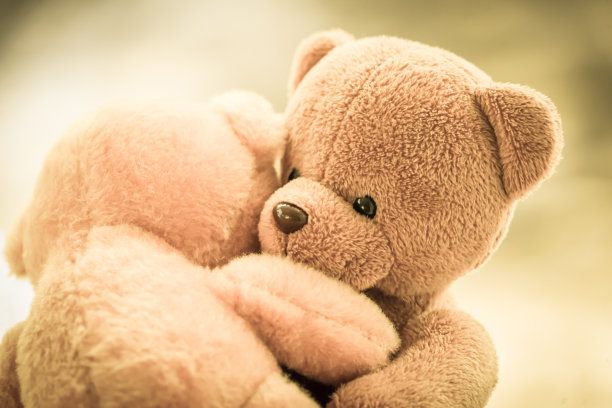 两个熊娃娃图片下载