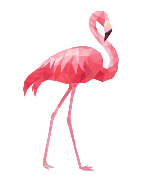 火烈鸟几何风格。矢量插图。图片下载